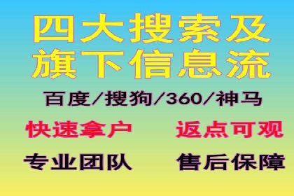 SEM托管公司案例研究：优化策略解析