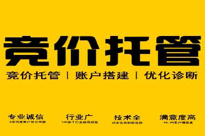 案例分享：SEM竞价代运营助力电商增长